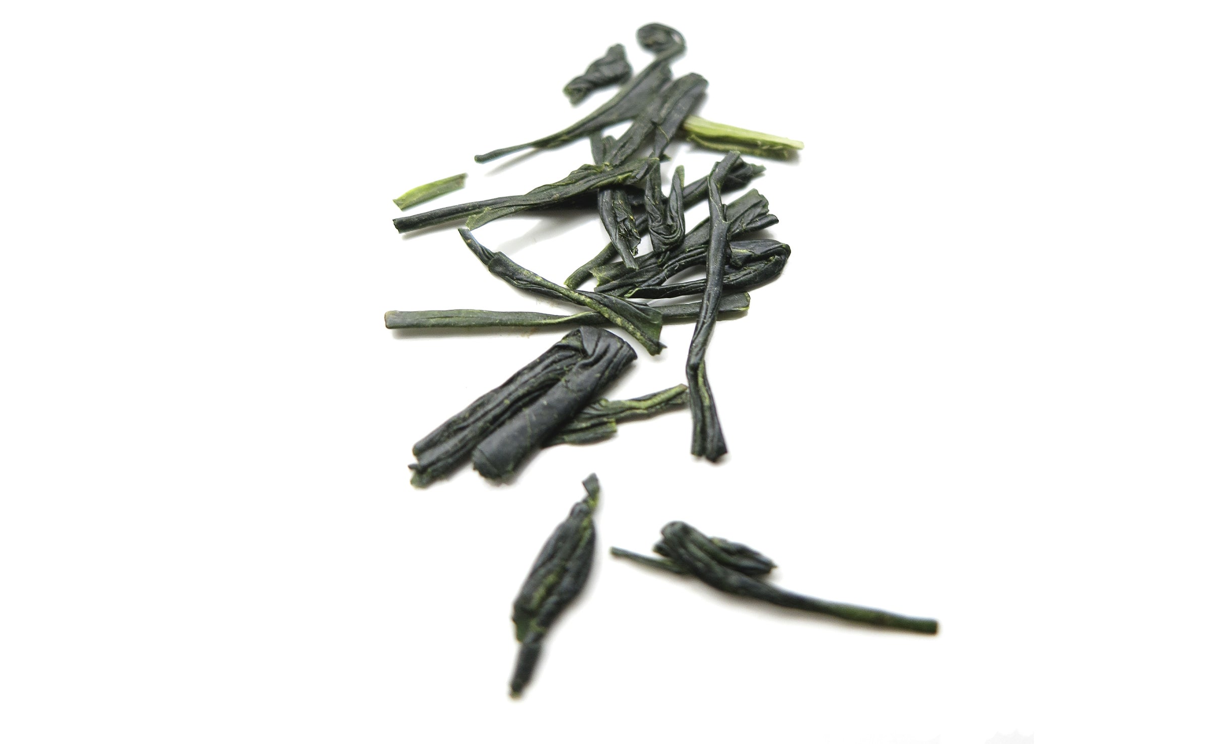 Sélection de Sencha
