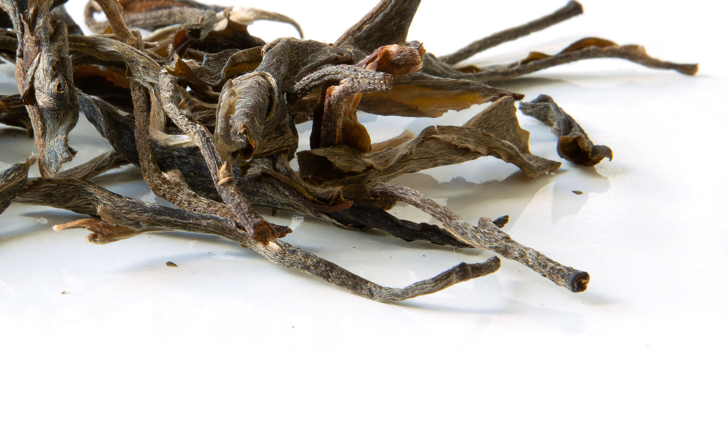 Pu er raw Sheng from Nyot Ou forest