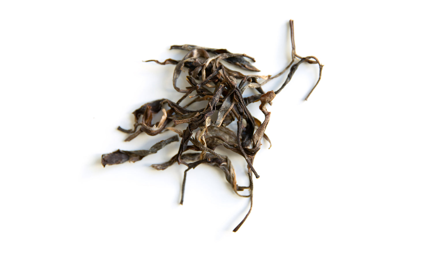 Pu er raw Sheng from Nyot Ou forest