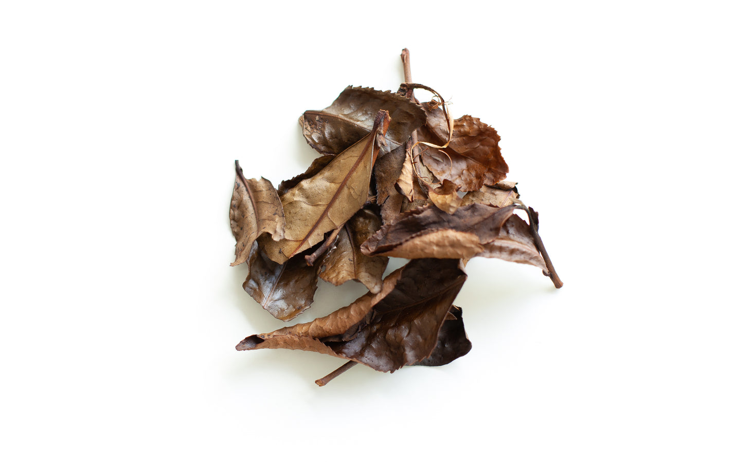 Thé ambré - Les Landes Vivantes