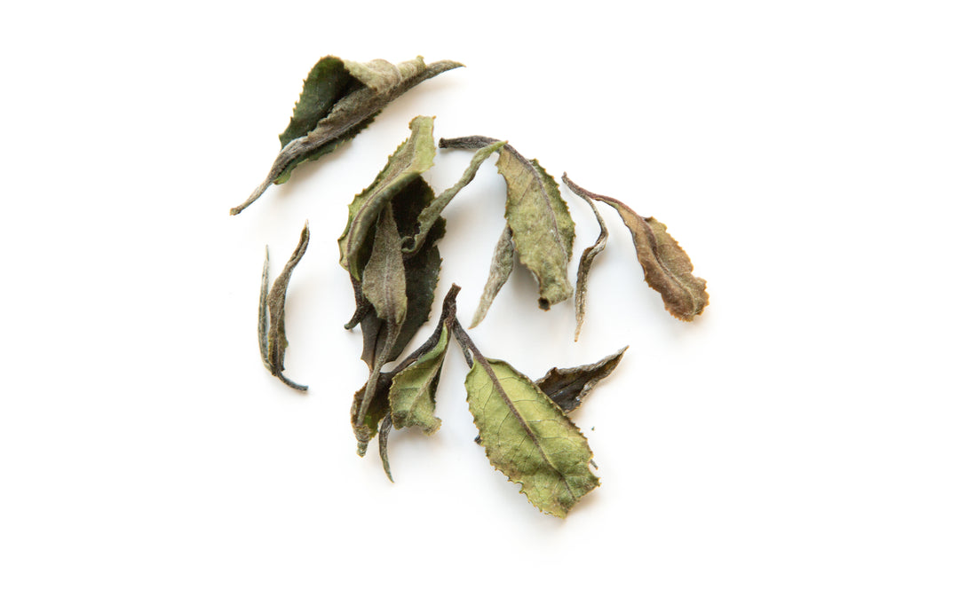 Pyrenees French Mountain White Tea