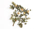 Sencha Yuzu & Mélisse