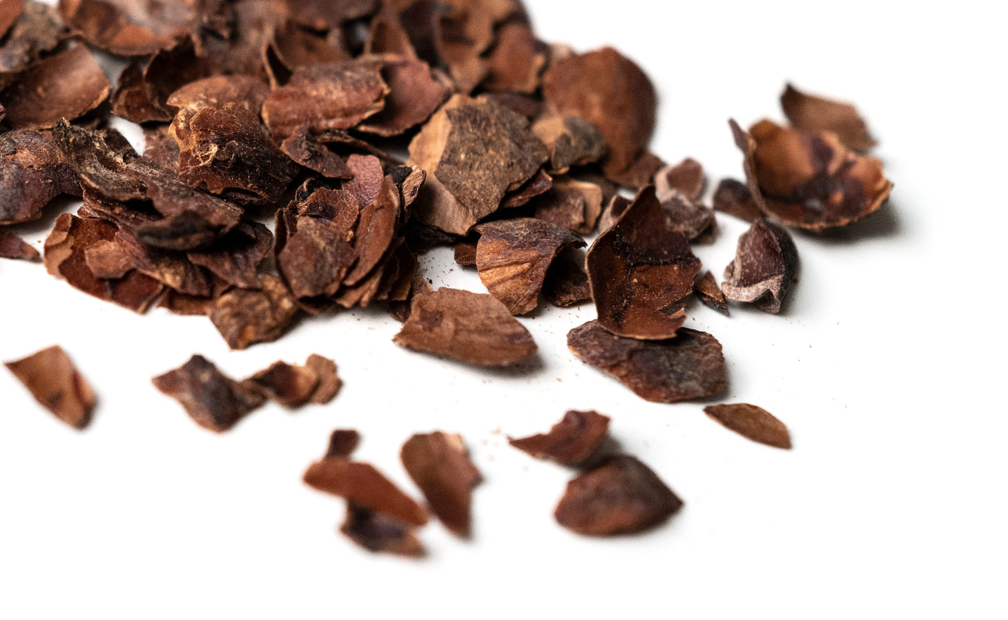 Cocoa shells | Lydia Gautier