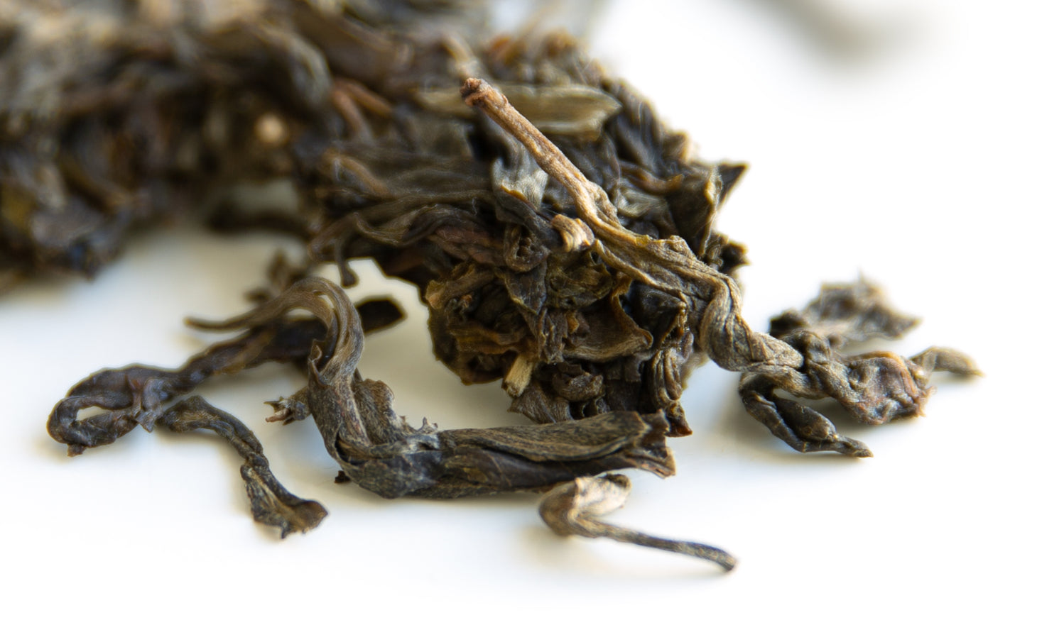 Galette Pu er cru Sheng Jingmai Gulan vieux arbres 2023
