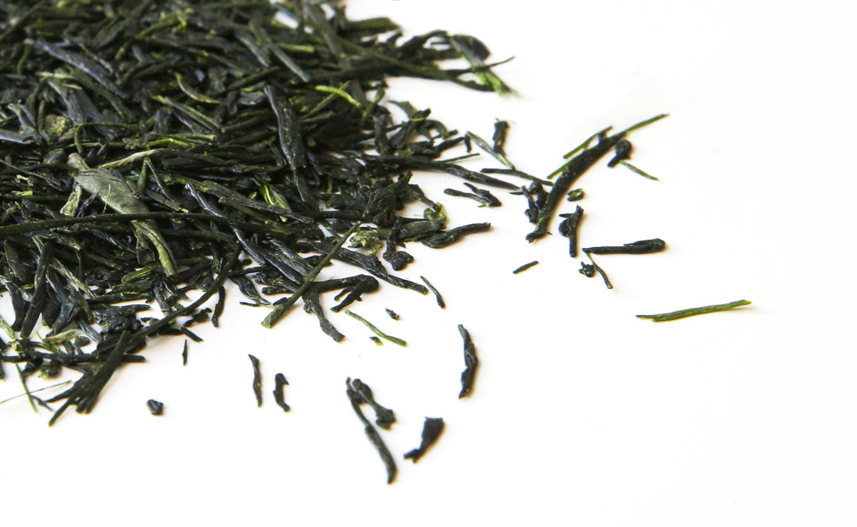 Sencha Asanoka