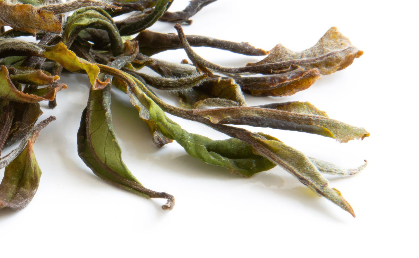 Giorgi Tetri White Tea
