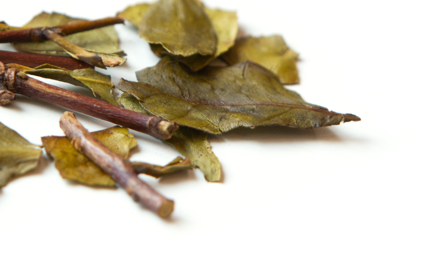 Branch tea from the Terrasses de l'Arrieulat