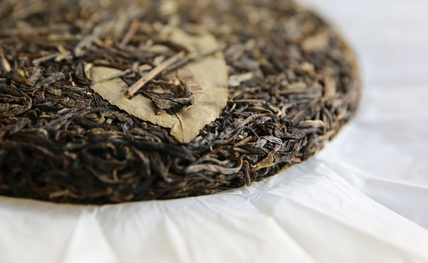 Galette Pu er cru Sheng Jingmai Gulan vieux arbres 2023