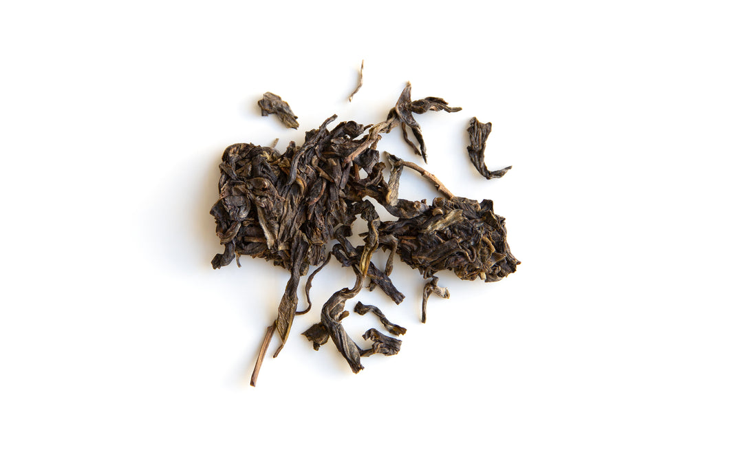 Galette Pu er cru Sheng Jingmai Gulan vieux arbres 2023