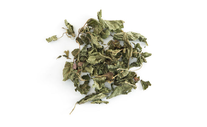 Mélisse des Alpes Maritimes