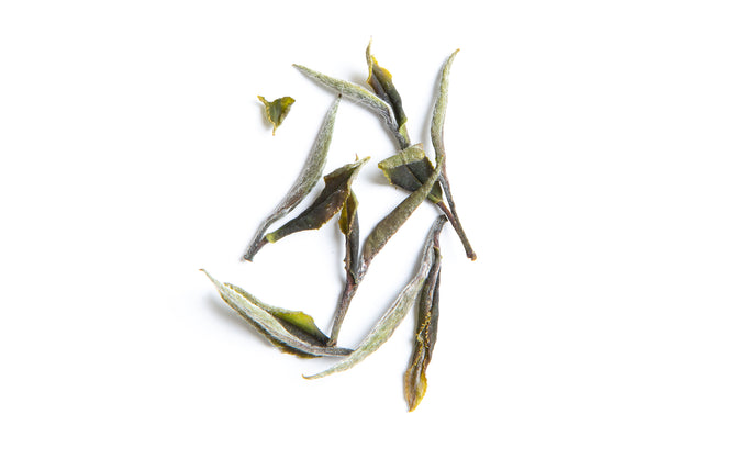 Arrieulat early white tea