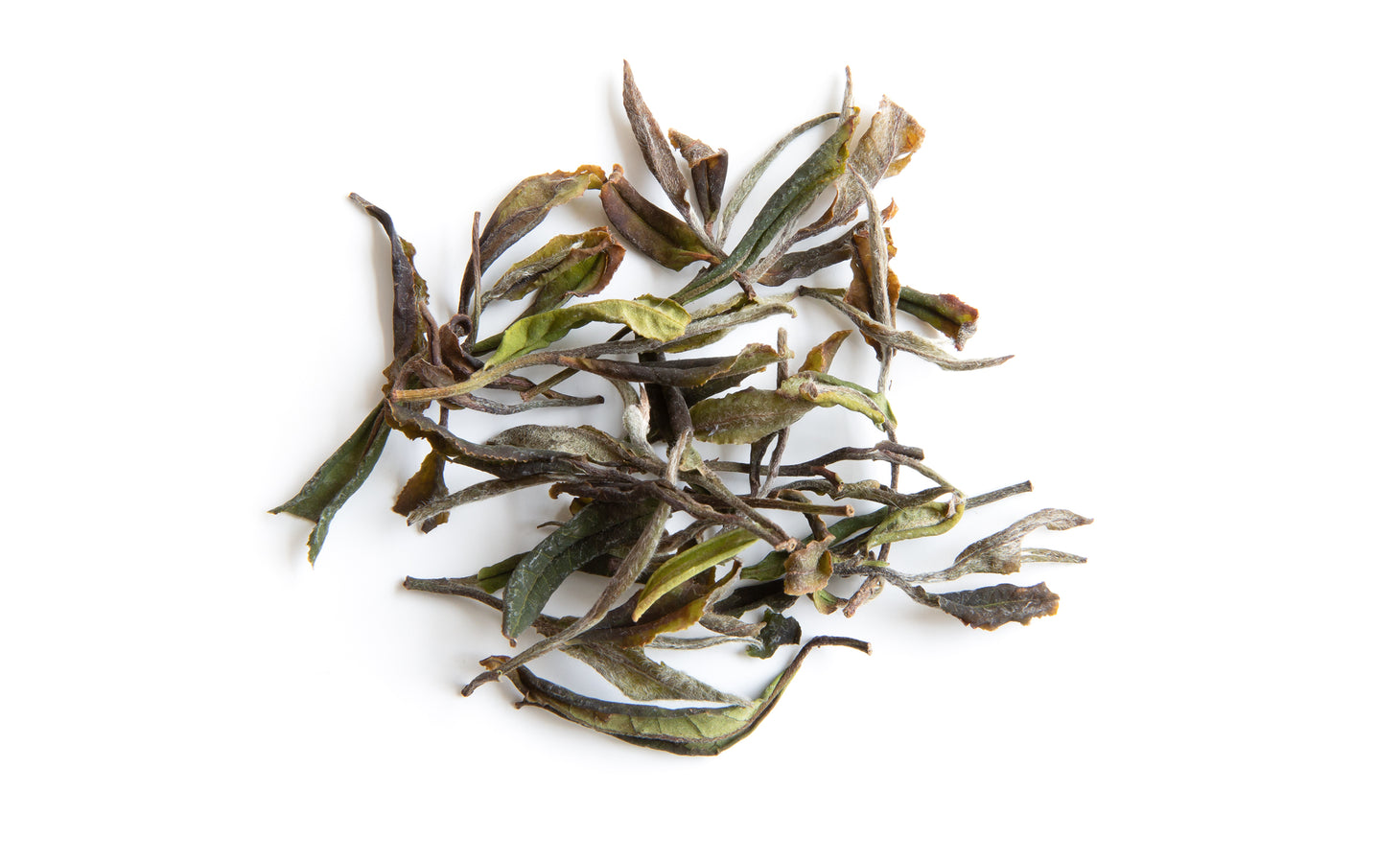Giorgi Tetri White Tea