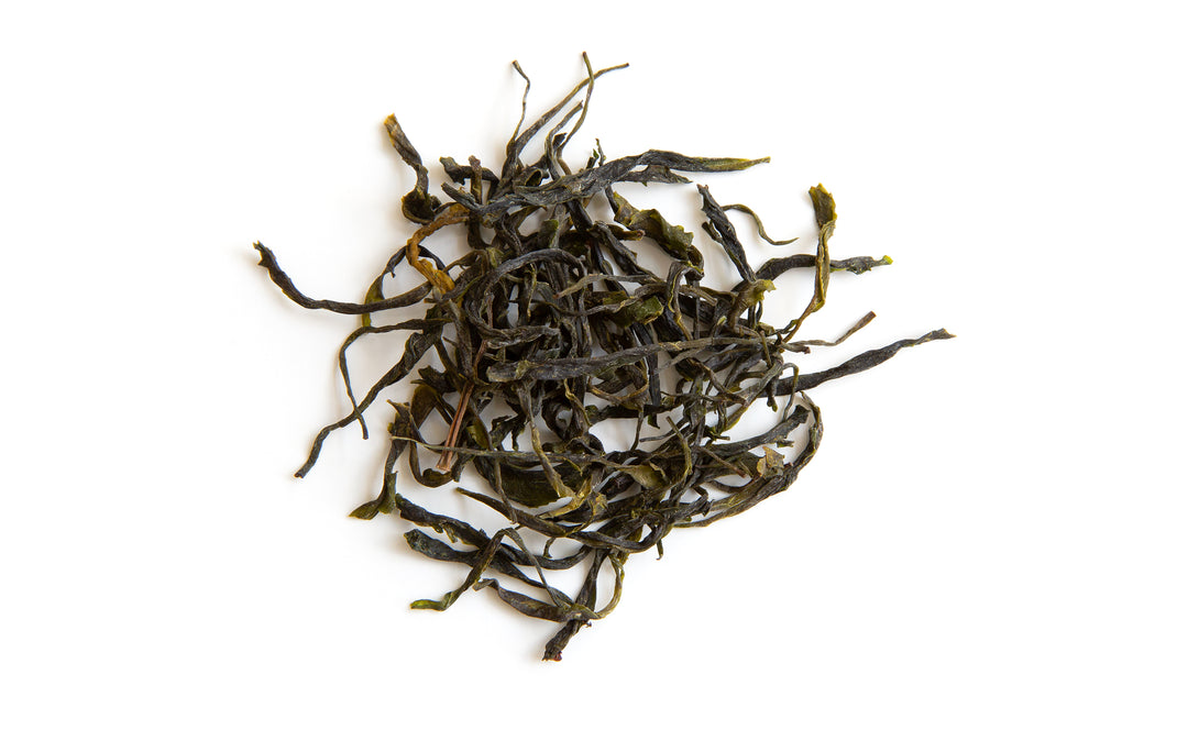 Thé vert forestier de Dato