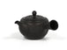 Tokoname Kyusu - 160ml
