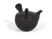Tokoname Kyusu - 160ml