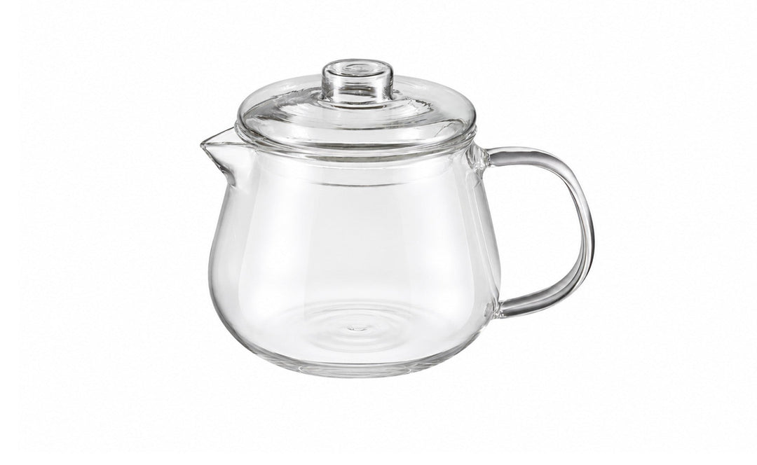 Glass teapot and filter