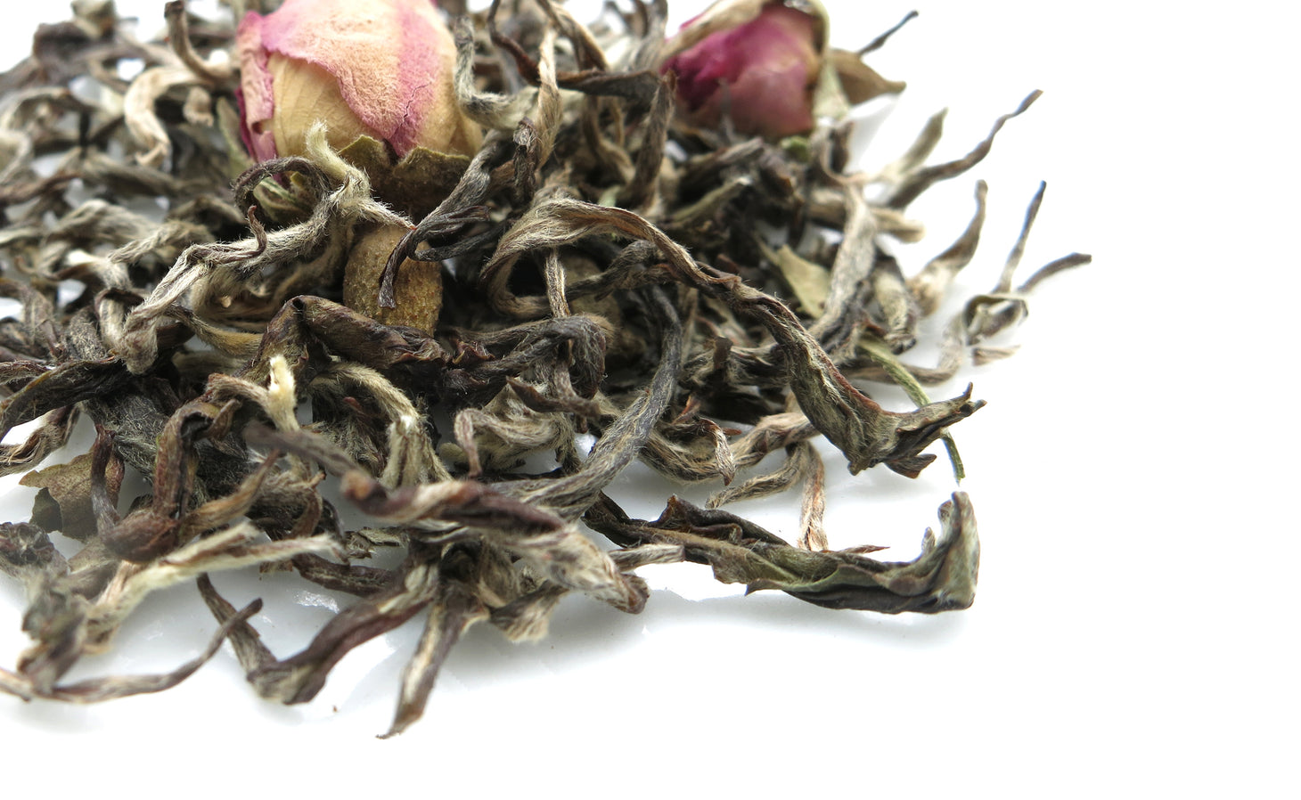 Rose Népal passionné & sa boîte